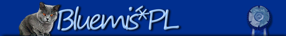 www.bluemis.pl