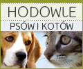 Polski Katalog Internetowy - Hodowle ps�w i kot�w