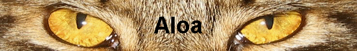 DK Aloa