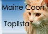 Maine Coon