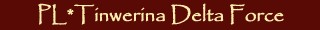 Tinwerina Delta Force