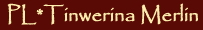Tinwerina Merlin