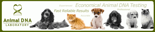 www.animalsdna.com